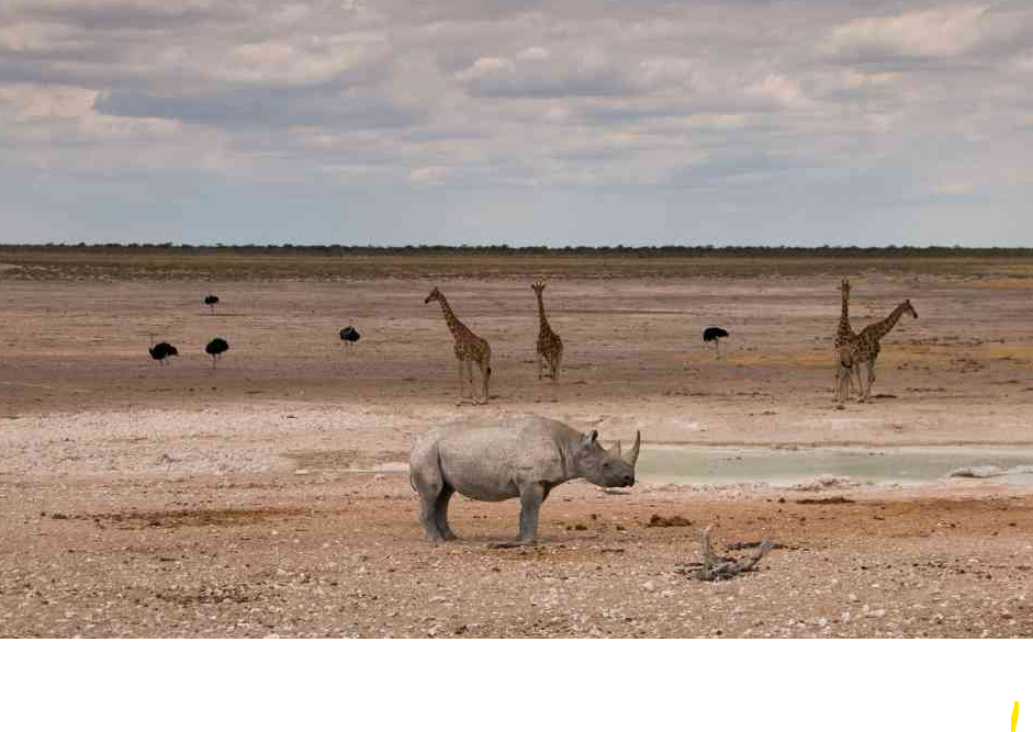 Namib Desert, Namibia
